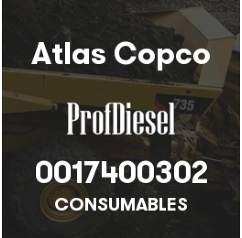 0017400302