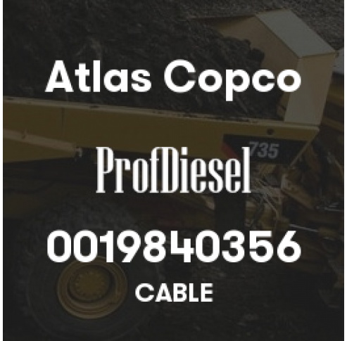 0019840356