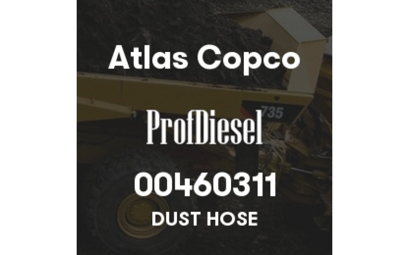 00460311