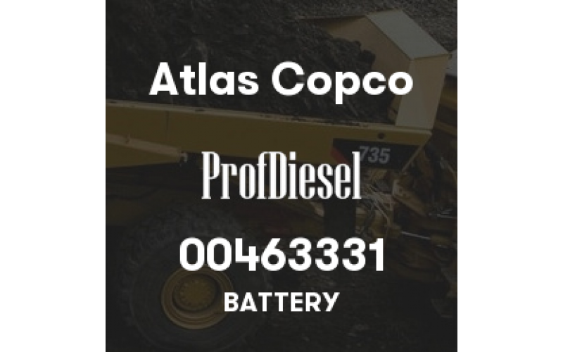 00463331