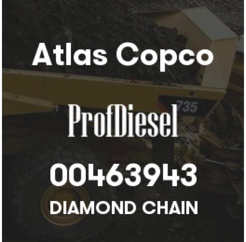 00463943