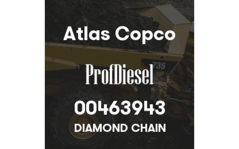 00463943