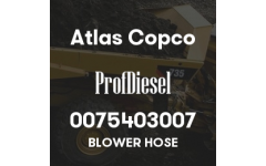 0075403007
