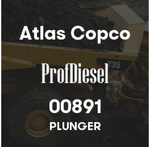 00891