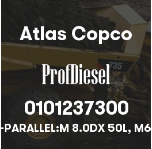0101237300