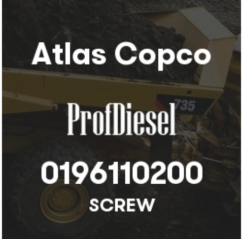 0196110200