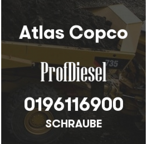 0196116900