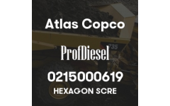 0215000619