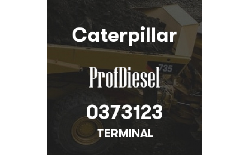 0373123