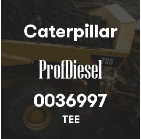0036997