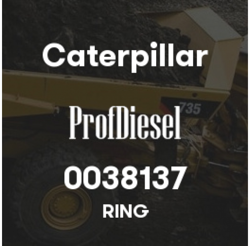 0038137