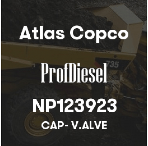 NP123923