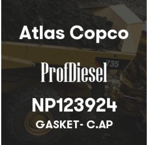 NP123924