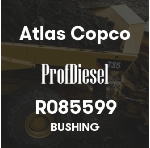 R085599
