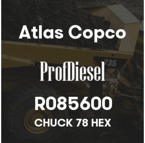 R085600