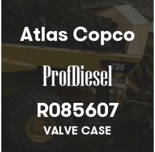 R085607