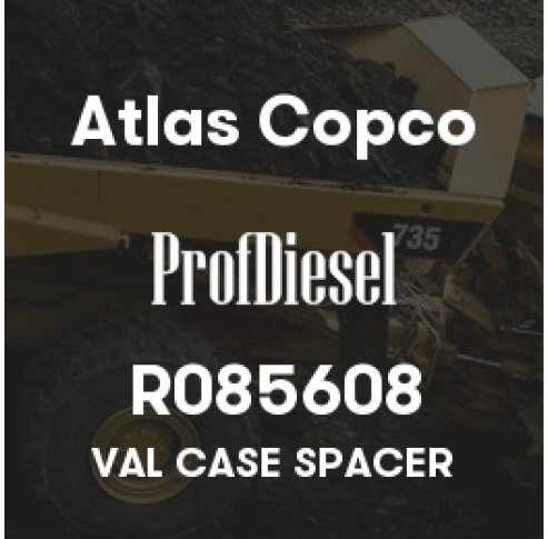 R085608