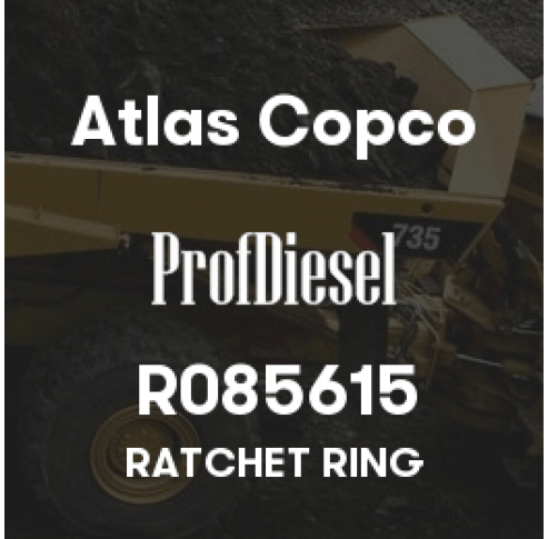 R085615