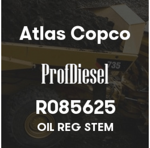 R085625
