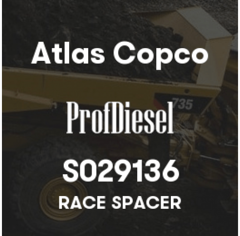 S029136