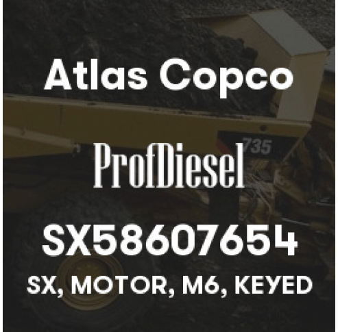 SX58607654