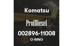 002896-11008