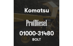 01000-31480