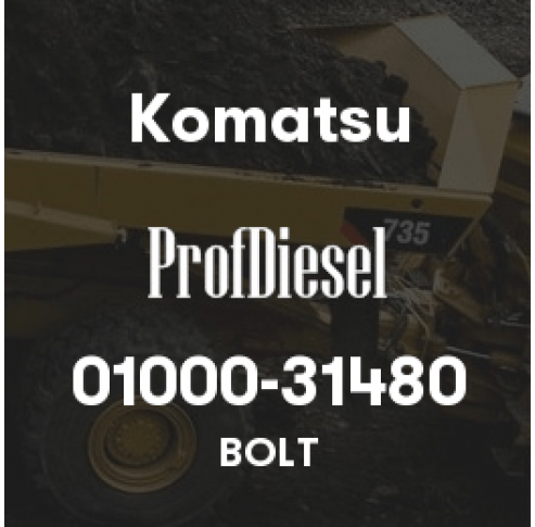 01000-31480