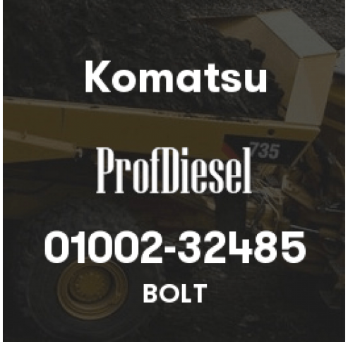 01002-32485
