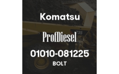 01010-081225