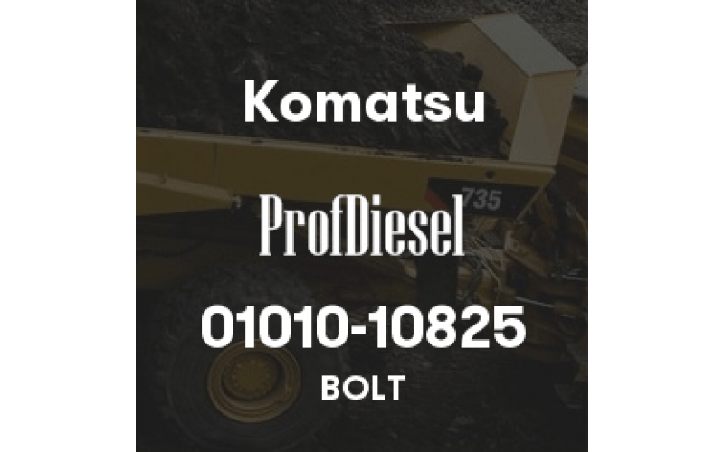 01010-10825