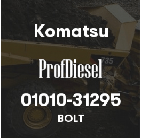 01010-31295