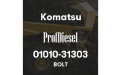 01010-31303
