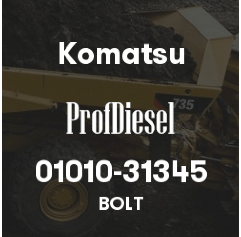 01010-31345
