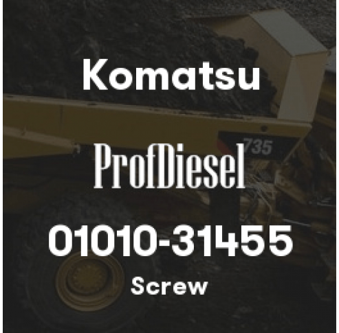 01010-31455