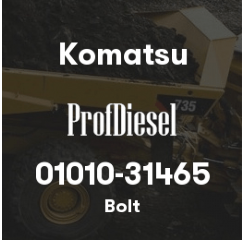 01010-31465