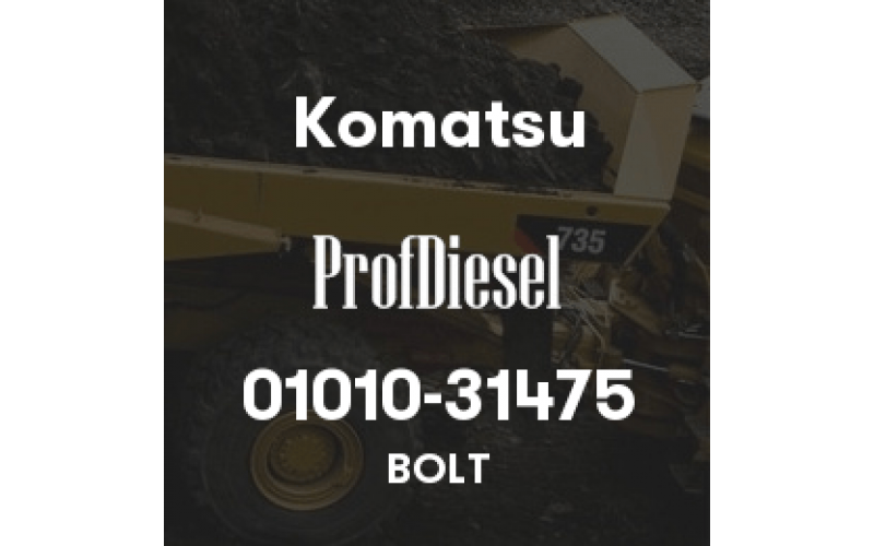 01010-31475