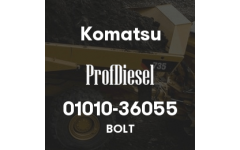 01010-36055