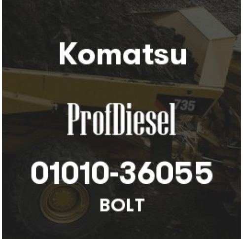 01010-36055