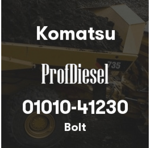 01010-41230