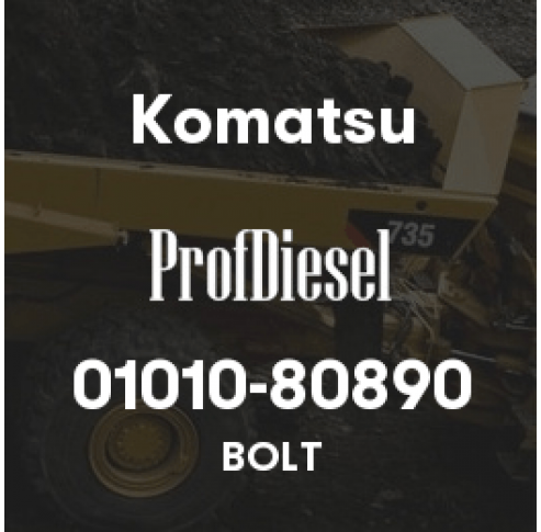 01010-80890