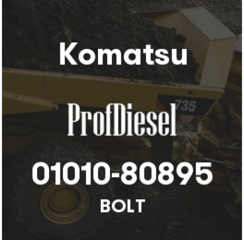 01010-80895