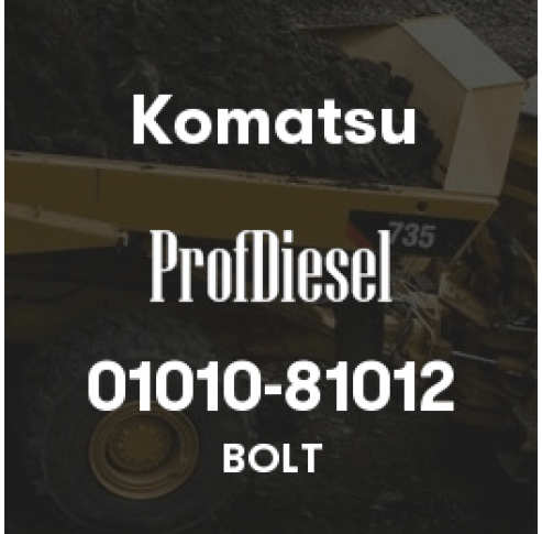 01010-81012