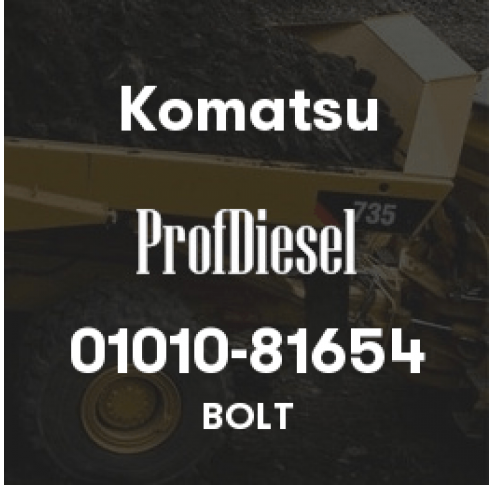 01010-81654