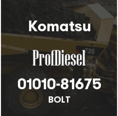 01010-81675