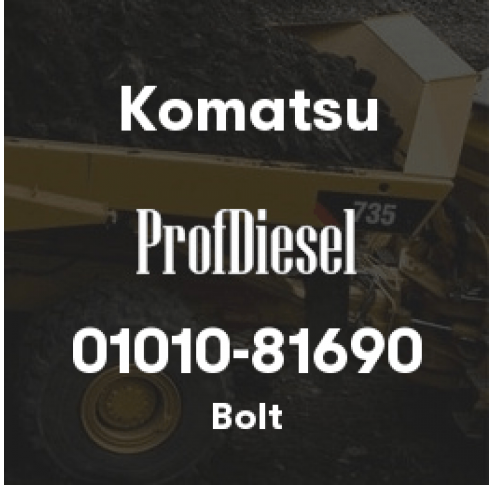01010-81690