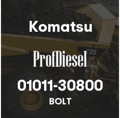 01011-30800
