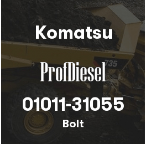 01011-31055