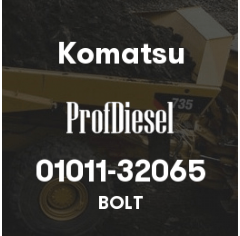 01011-32065