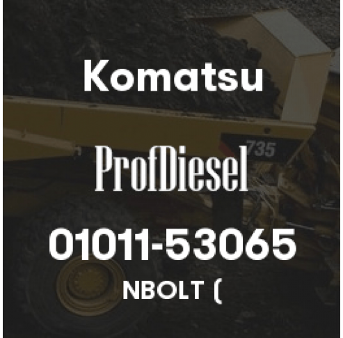 01011-53065